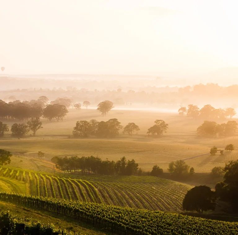 Hunter-Valley-Honey-Natural-Australia-Buy-Lochinvar-Ridge-Land